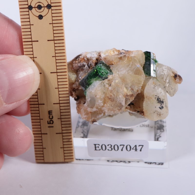 タンザニア産 ドラバイトトルマリン | 鉱物標本,タ行,トルマリン