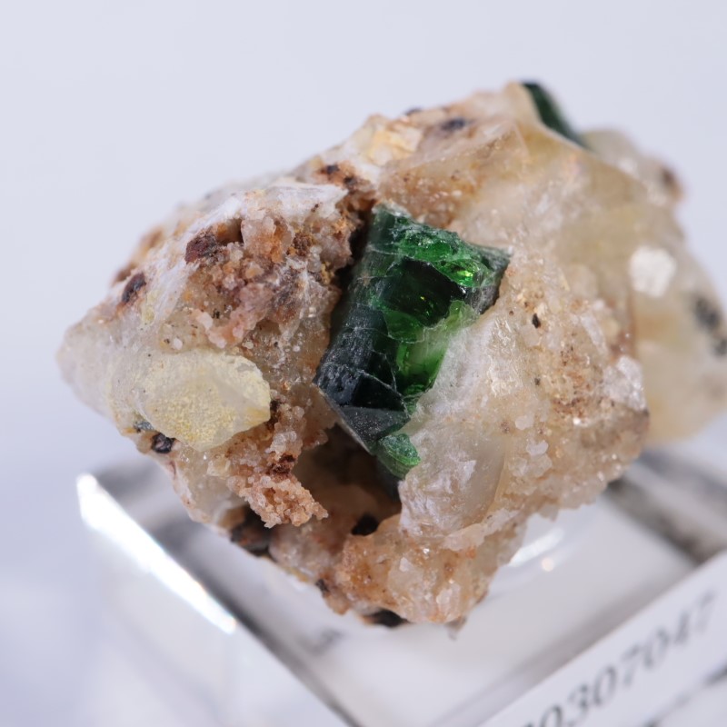 タンザニア産 ドラバイトトルマリン | 鉱物標本,タ行,トルマリン