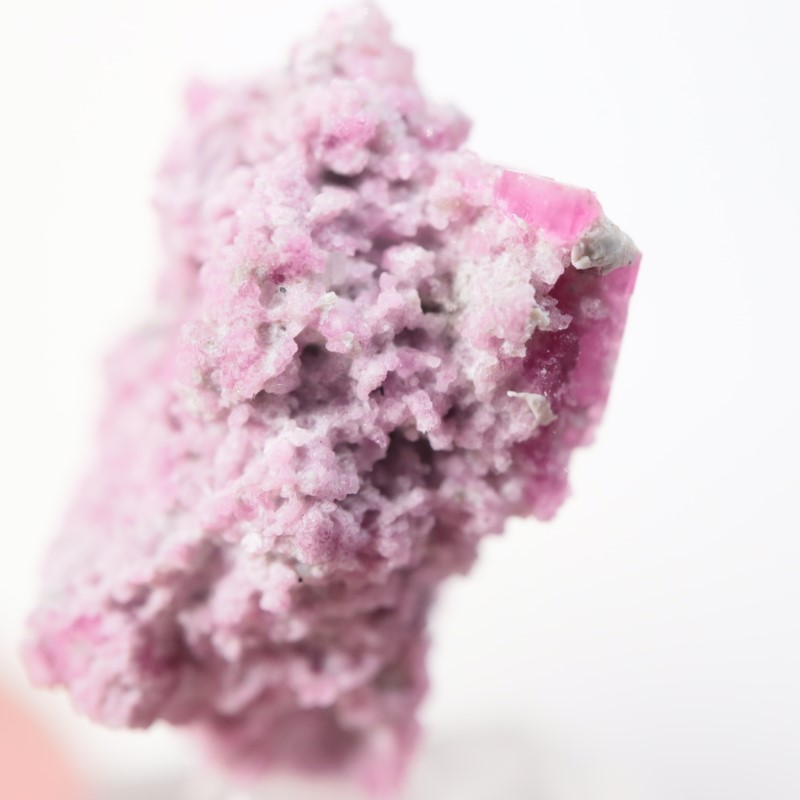 �楿���� ��åɥ٥��