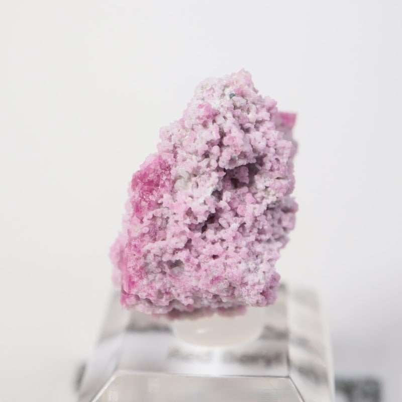 �楿���� ��åɥ٥��