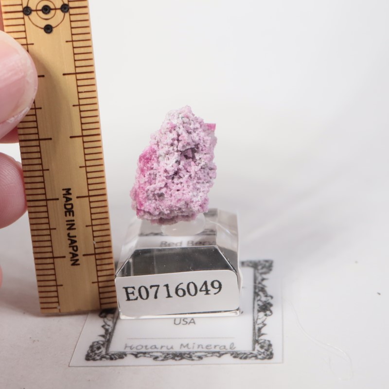 �楿���� ��åɥ٥��