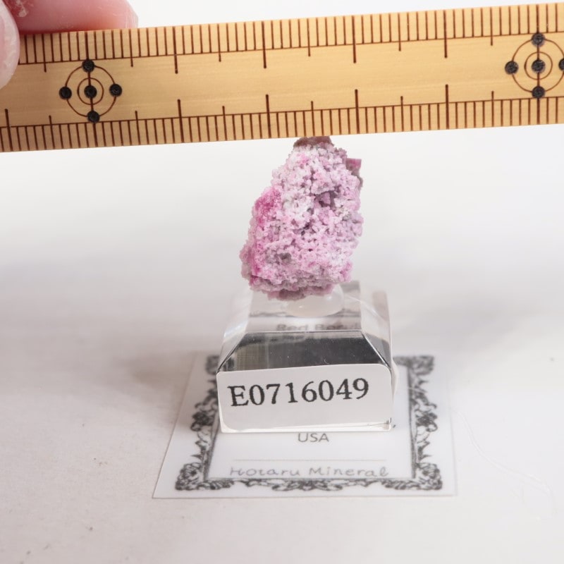 �楿���� ��åɥ٥��