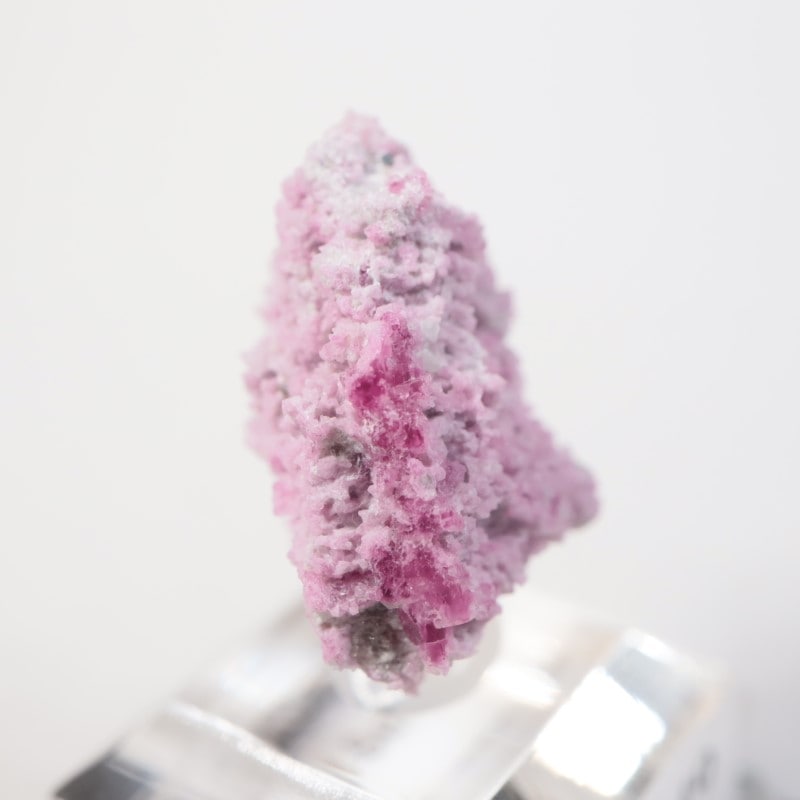 �楿���� ��åɥ٥��