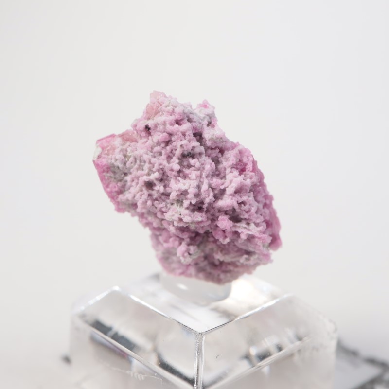 �楿���� ��åɥ٥��