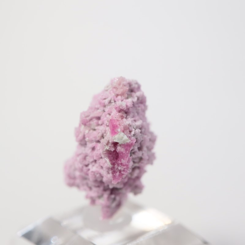 �楿���� ��åɥ٥��