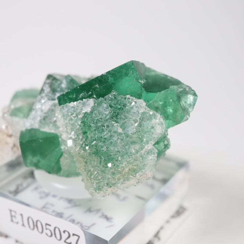 Druzy Dreams�� �ե����饤��