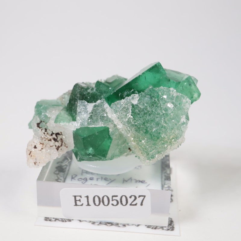 Druzy Dreams�� �ե����饤��