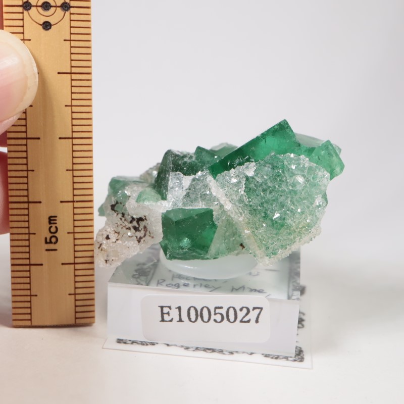 Druzy Dreams�� �ե����饤��