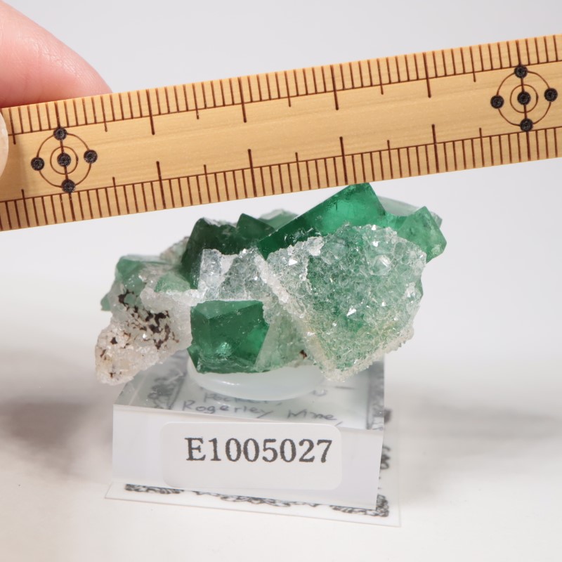 Druzy Dreams�� �ե����饤��