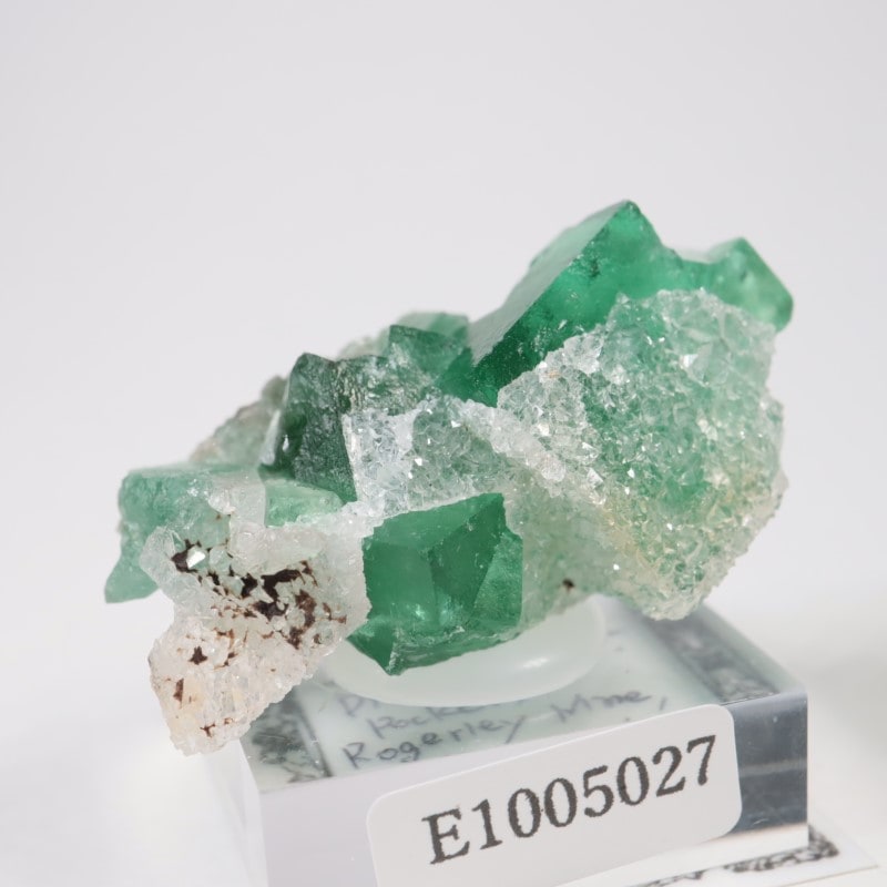 Druzy Dreams�� �ե����饤��