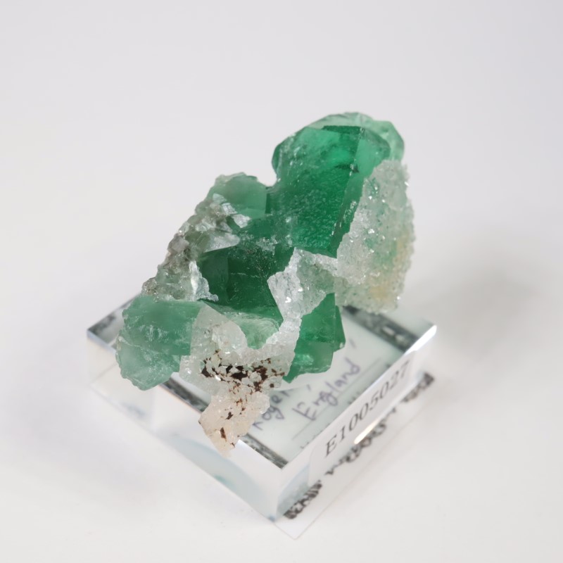 Druzy Dreams�� �ե����饤��