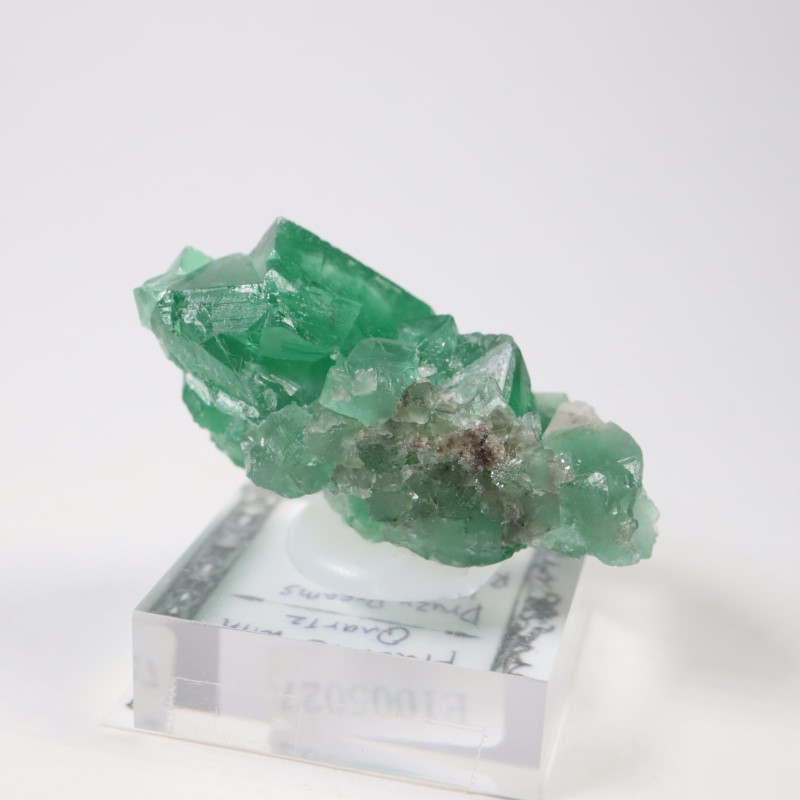 Druzy Dreams�� �ե����饤��