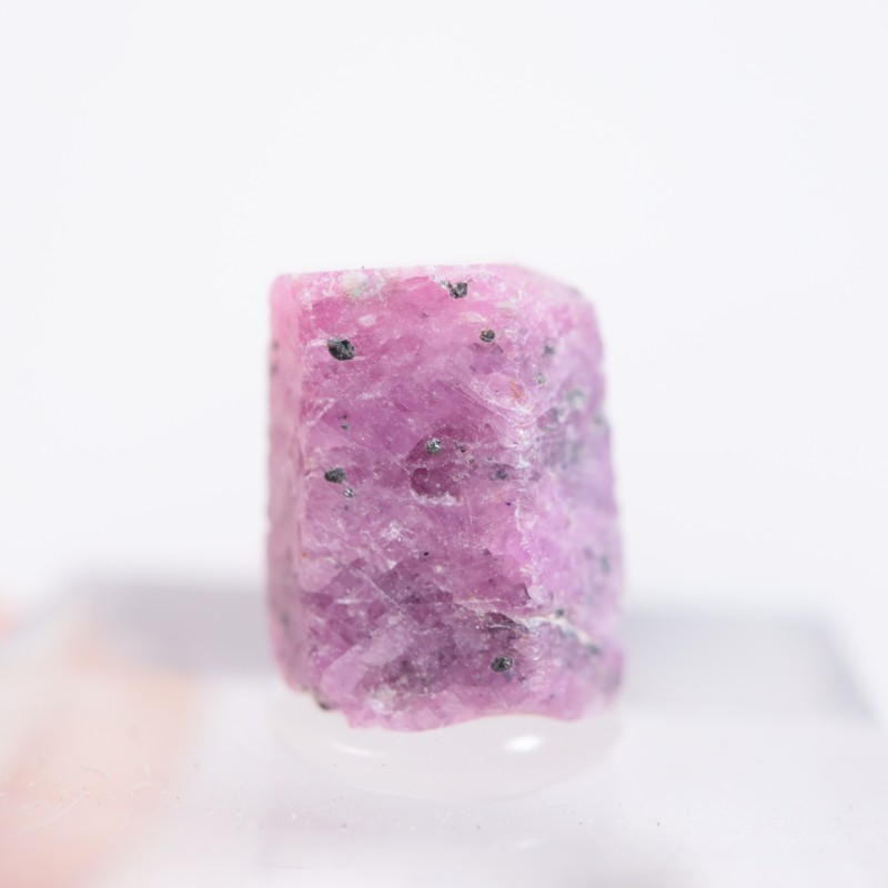 ���󥶥˥��� ��ӡ�