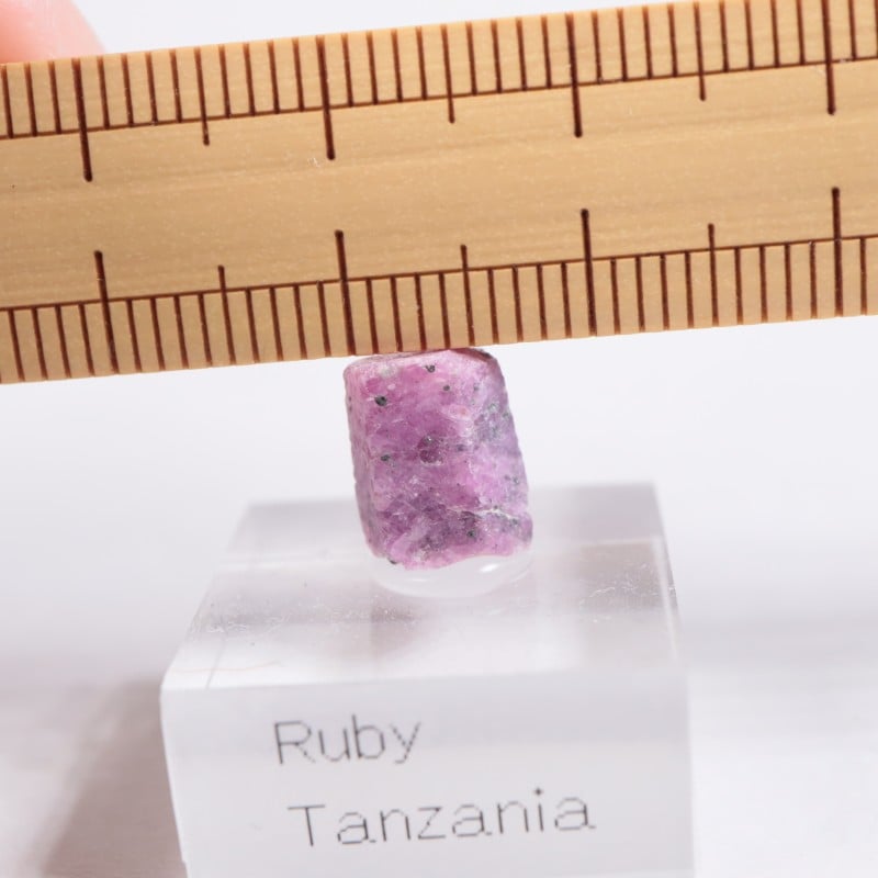 ���󥶥˥��� ��ӡ�