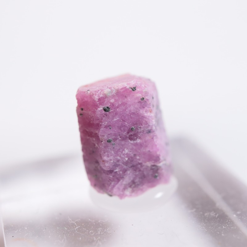 ���󥶥˥��� ��ӡ�