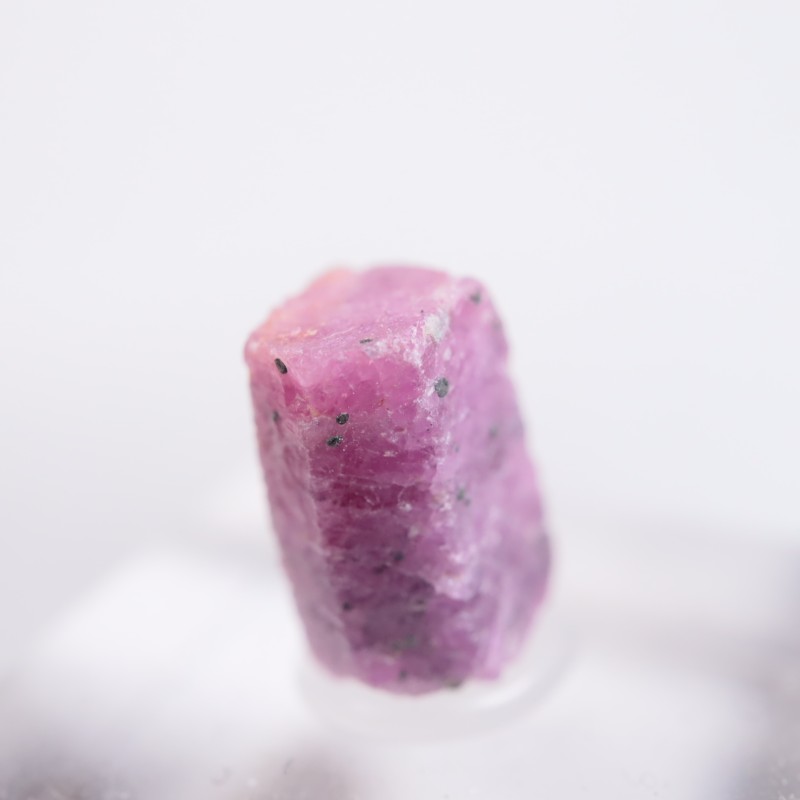 ���󥶥˥��� ��ӡ�