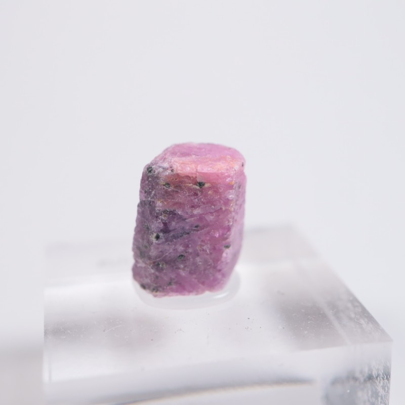 ���󥶥˥��� ��ӡ�