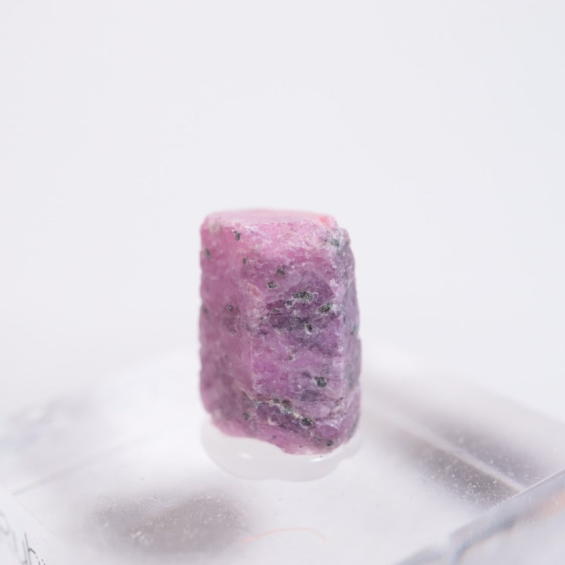 ���󥶥˥��� ��ӡ�