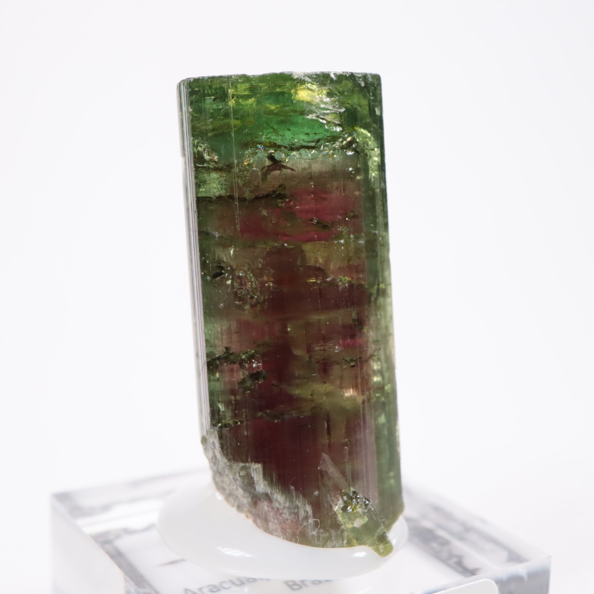 Aracuai�� �ȥ�ޥ��