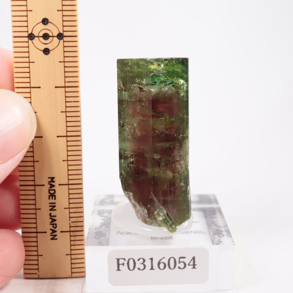 Aracuai�� �ȥ�ޥ��