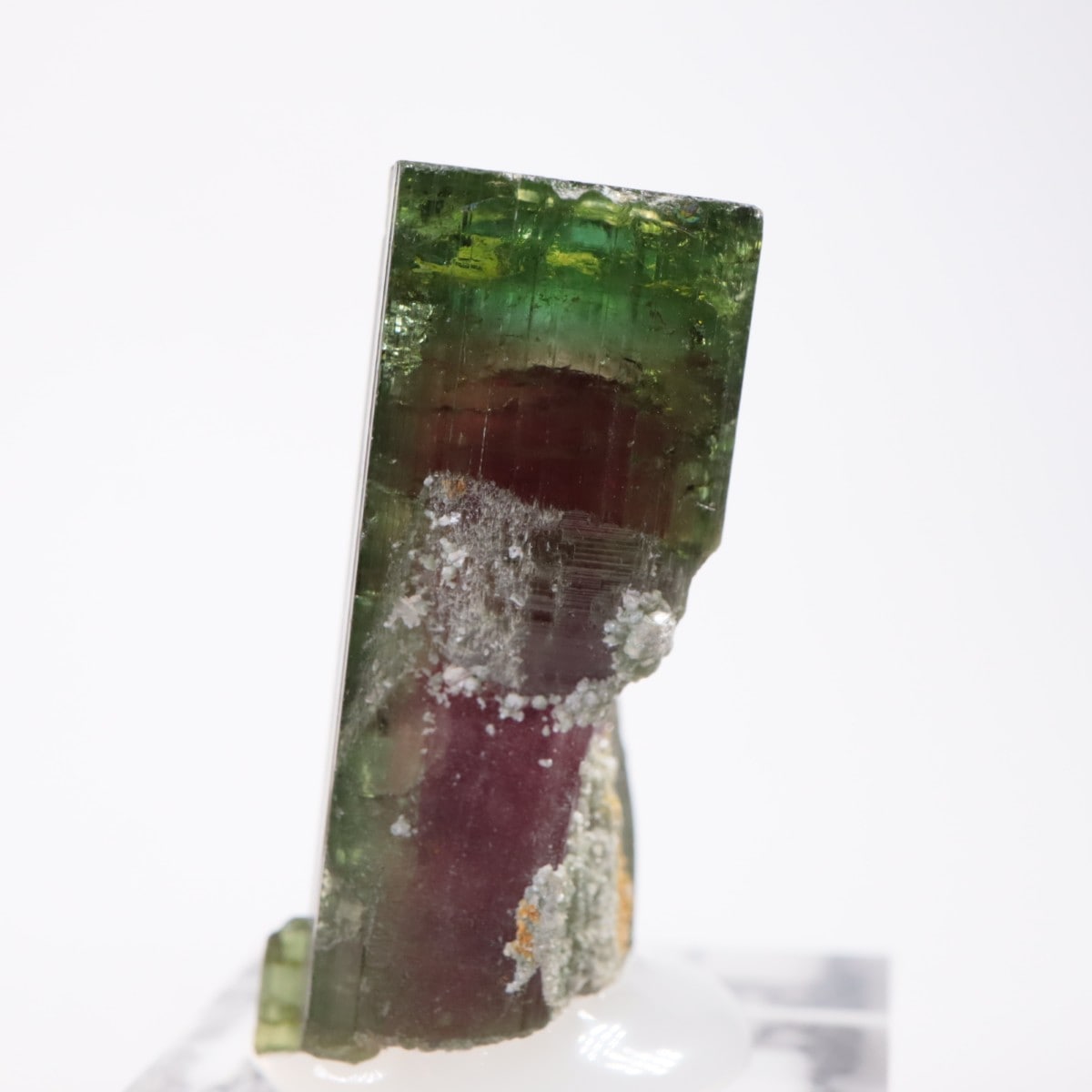 Aracuai�� �ȥ�ޥ��