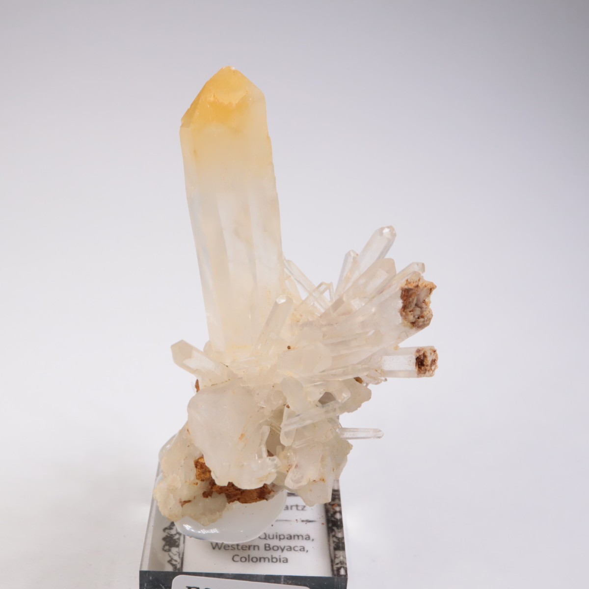 ������ӥ��� �ޥ󥴡���������