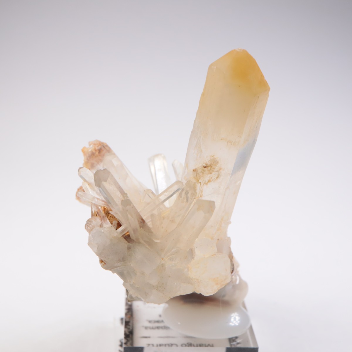 ������ӥ��� �ޥ󥴡���������