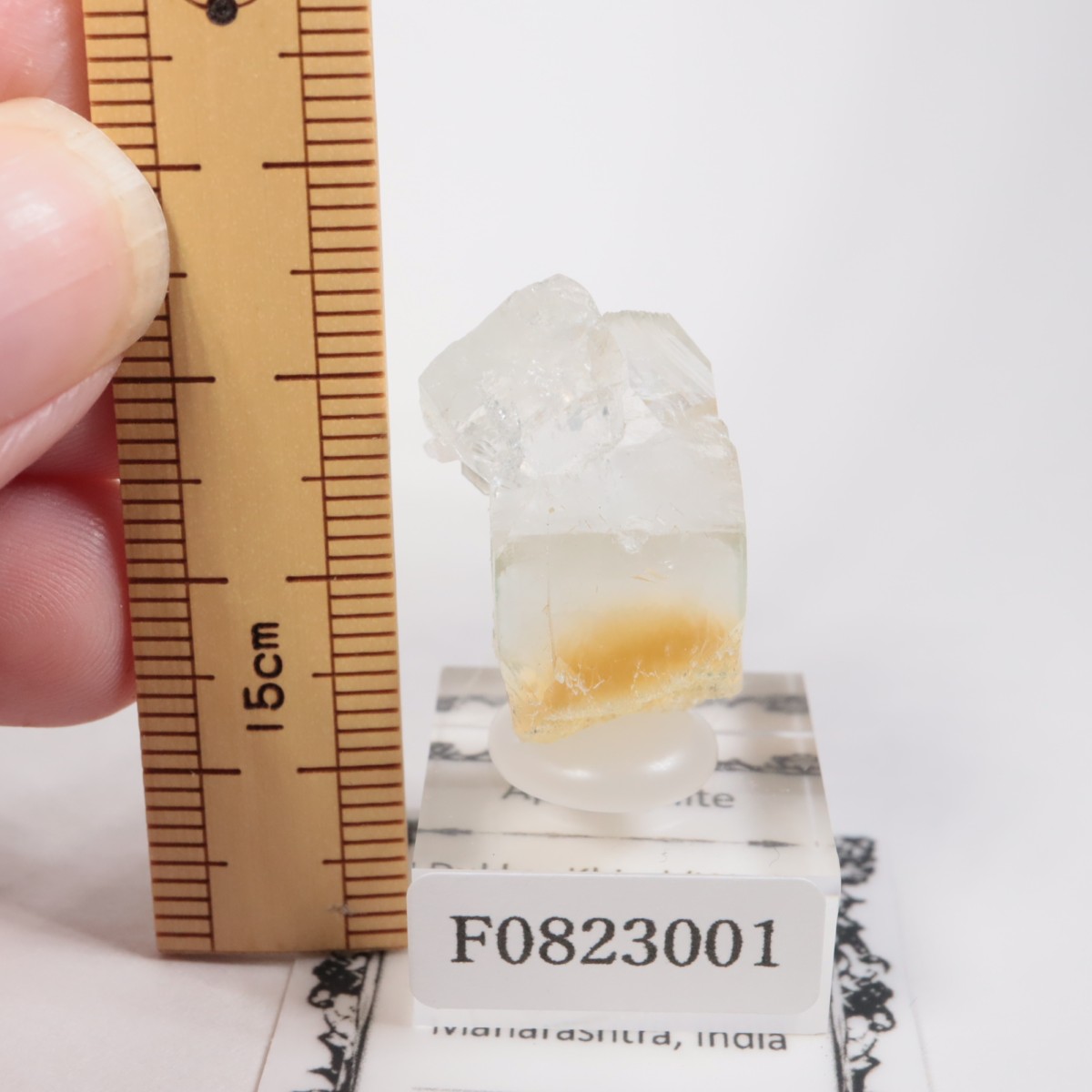 ����ɻ� ���ݥե��饤��