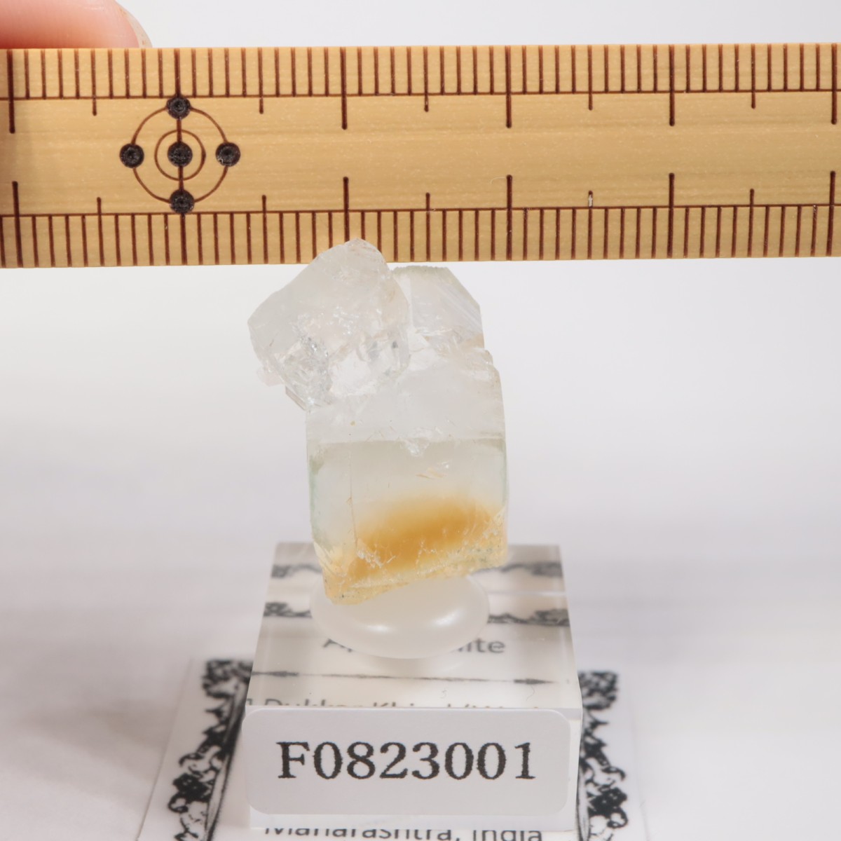 ����ɻ� ���ݥե��饤��