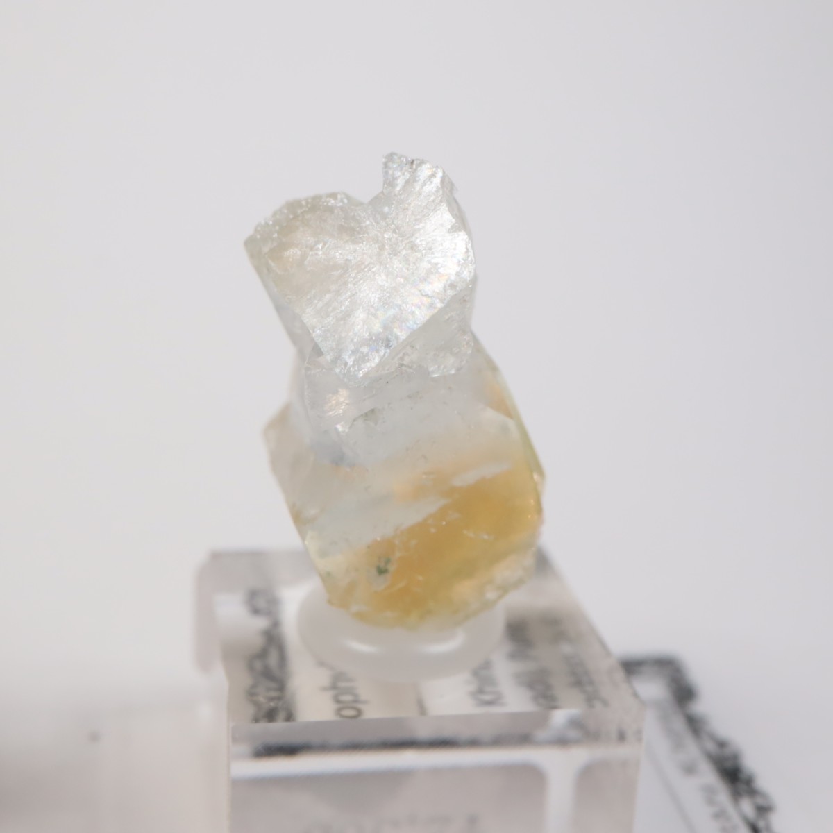 ����ɻ� ���ݥե��饤��