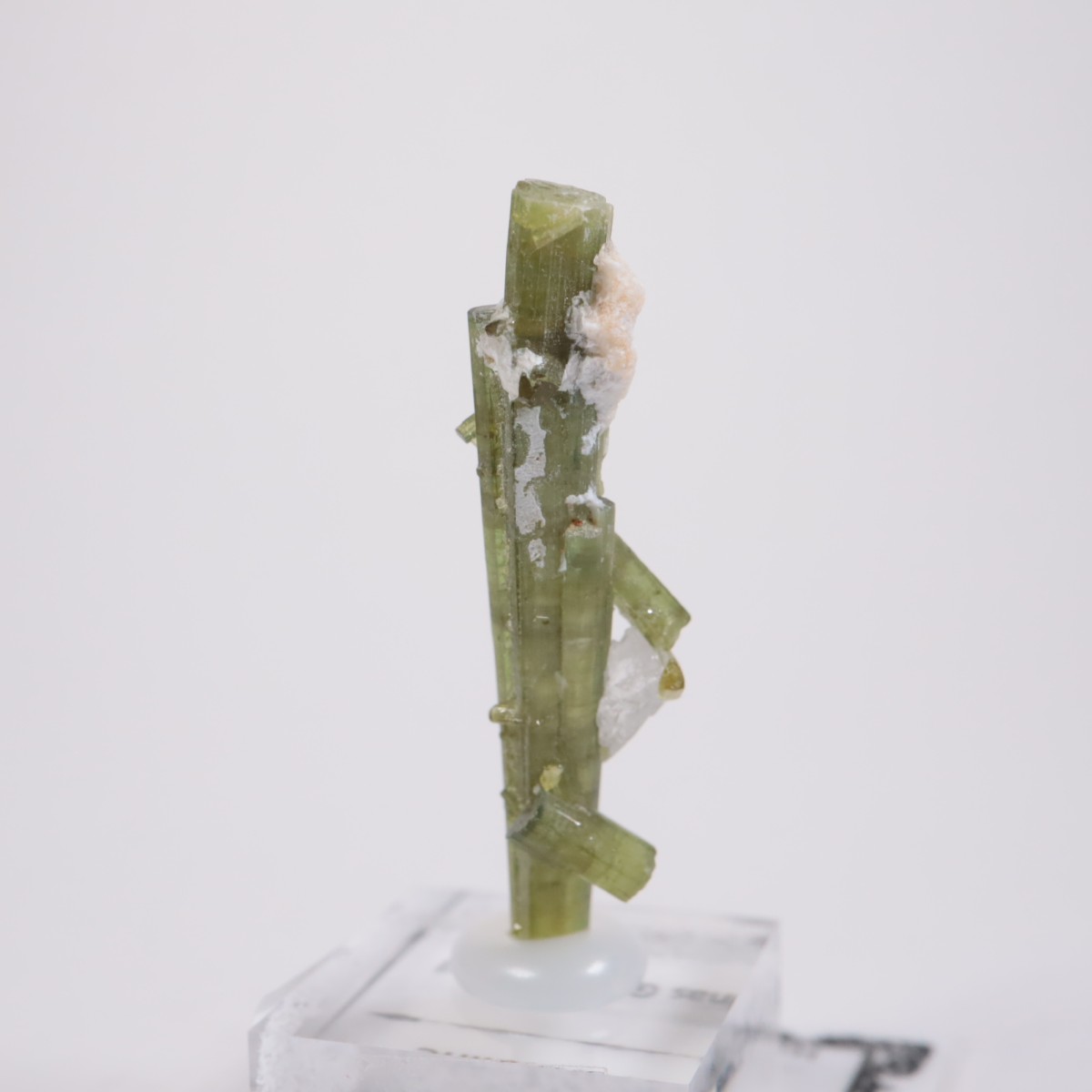 �֥饸�뻺 �ȥ�ޥ��