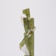 �֥饸�뻺 �ȥ�ޥ��