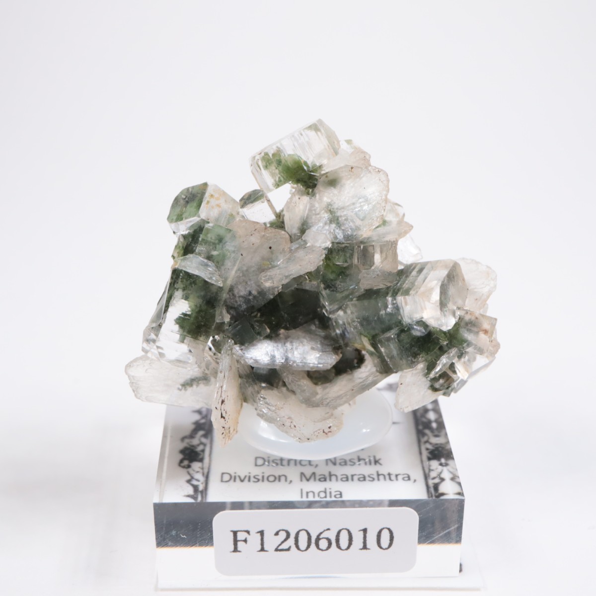 ����ɻ� ���ݥե��饤��