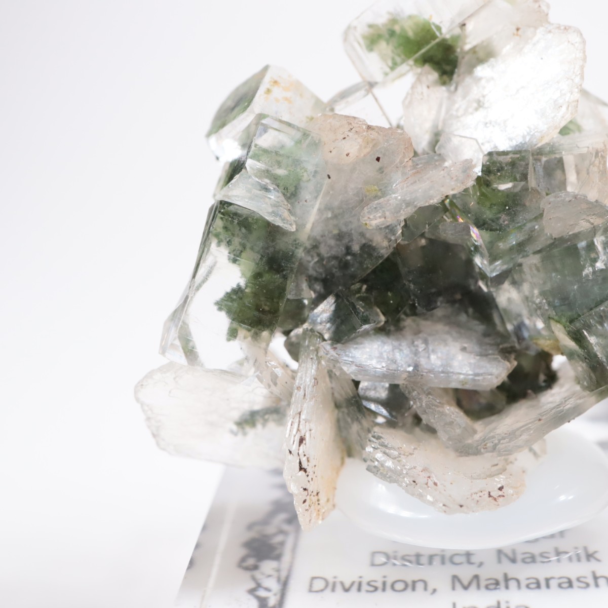 ����ɻ� ���ݥե��饤��