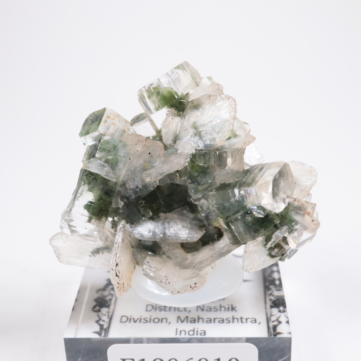 ����ɻ� ���ݥե��饤��