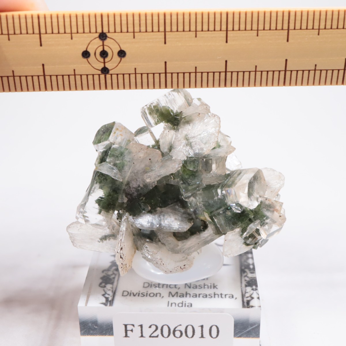 ����ɻ� ���ݥե��饤��