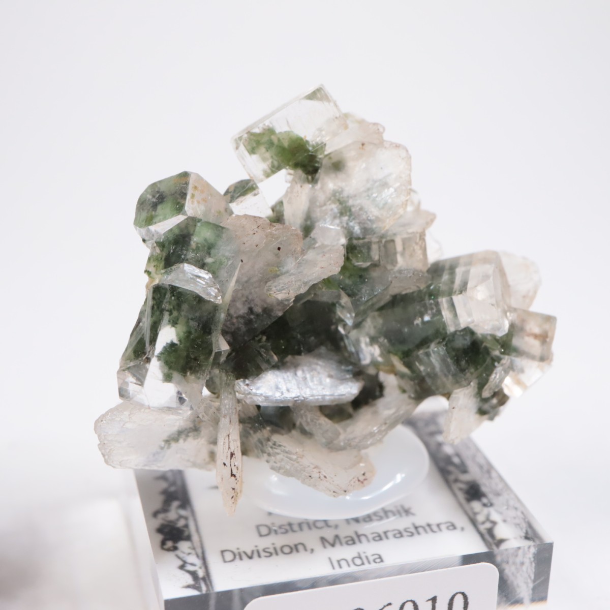 ����ɻ� ���ݥե��饤��