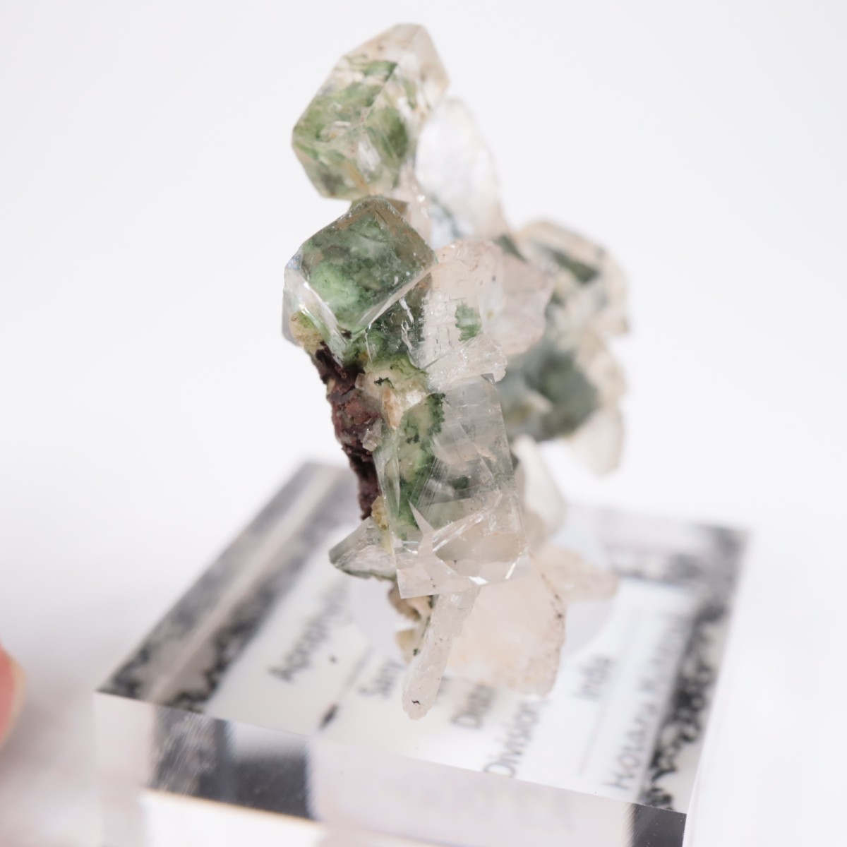 ����ɻ� ���ݥե��饤��