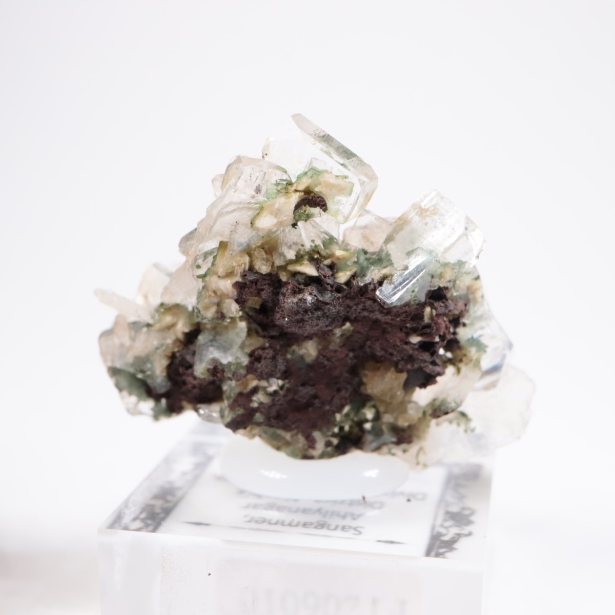 ����ɻ� ���ݥե��饤��