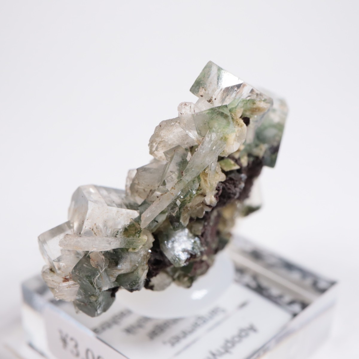 ����ɻ� ���ݥե��饤��