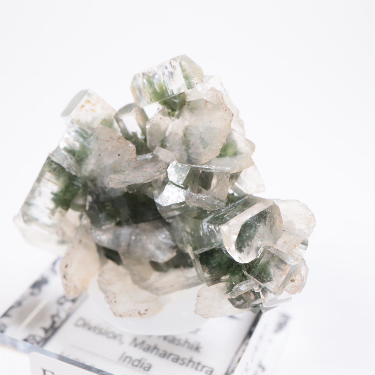 ����ɻ� ���ݥե��饤��