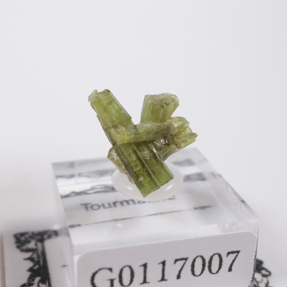 �֥饸�뻺 �ȥ�ޥ��