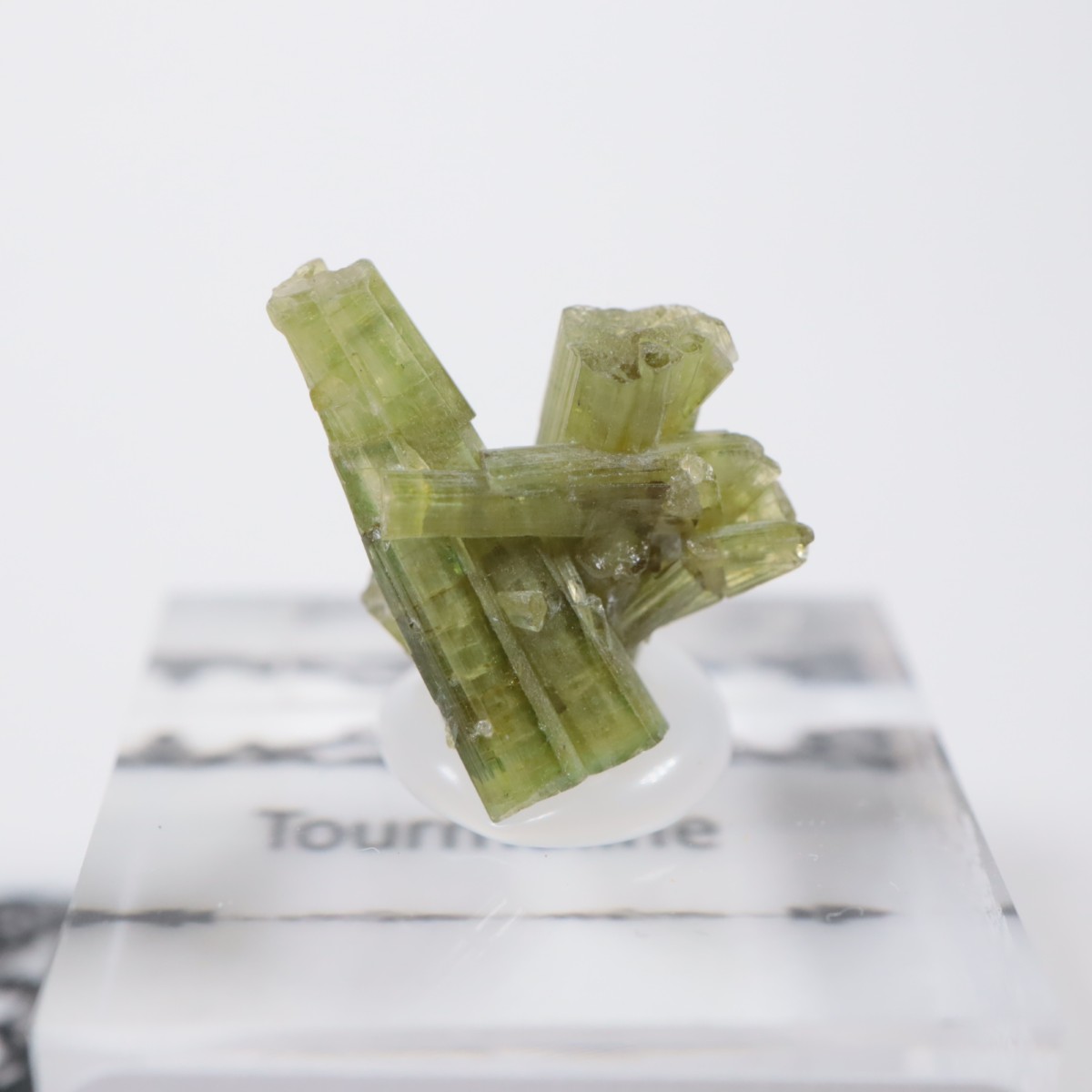 �֥饸�뻺 �ȥ�ޥ��