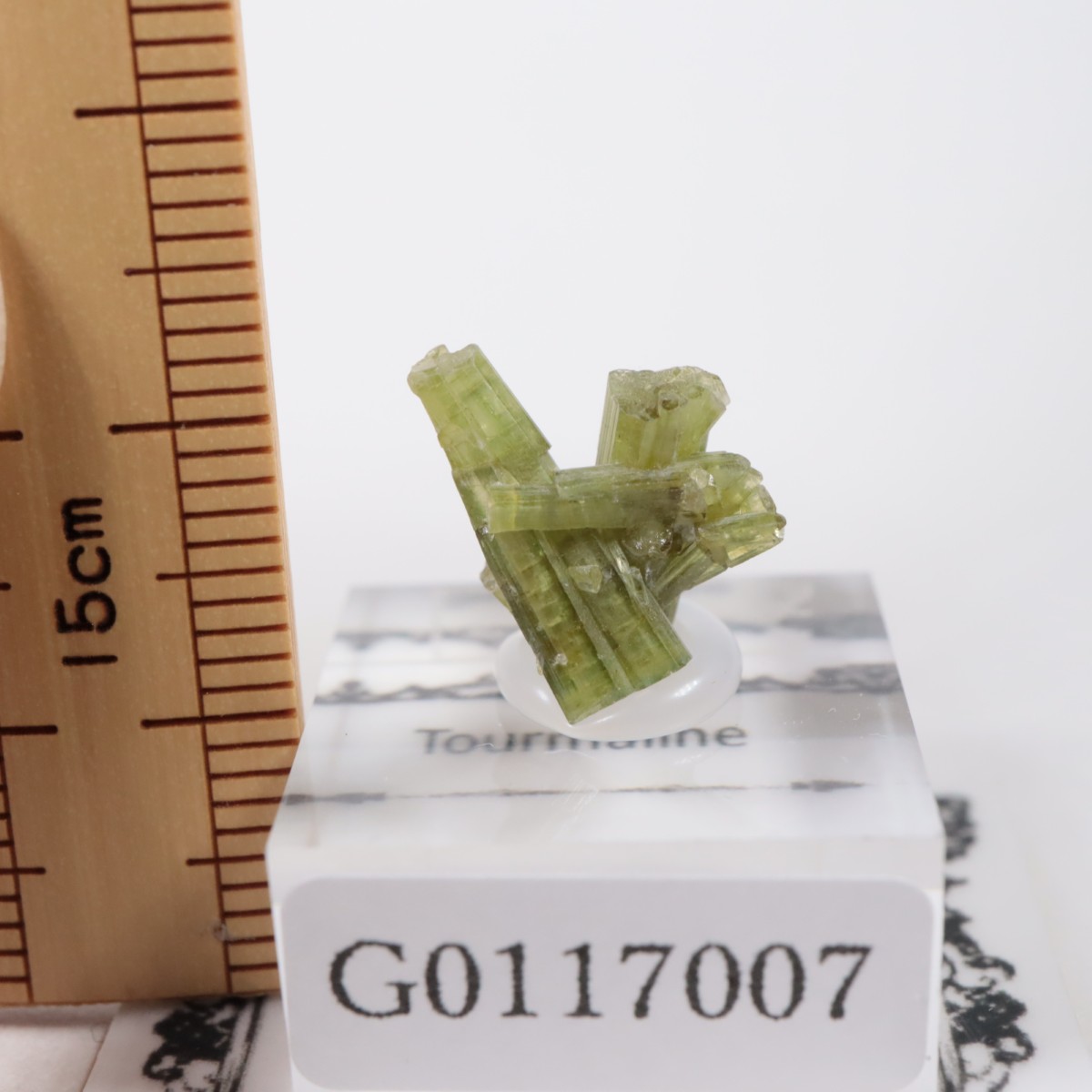 �֥饸�뻺 �ȥ�ޥ��