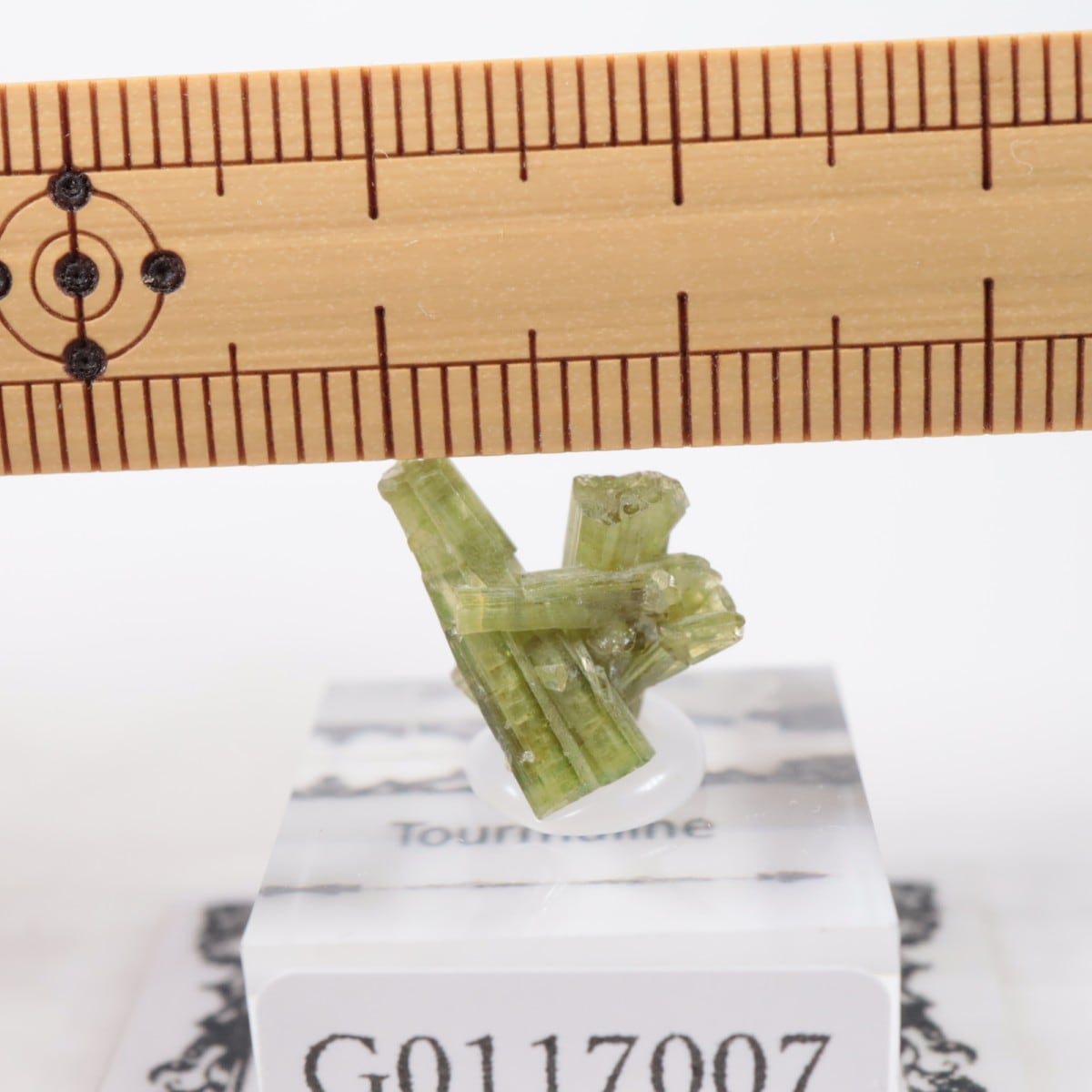 �֥饸�뻺 �ȥ�ޥ��