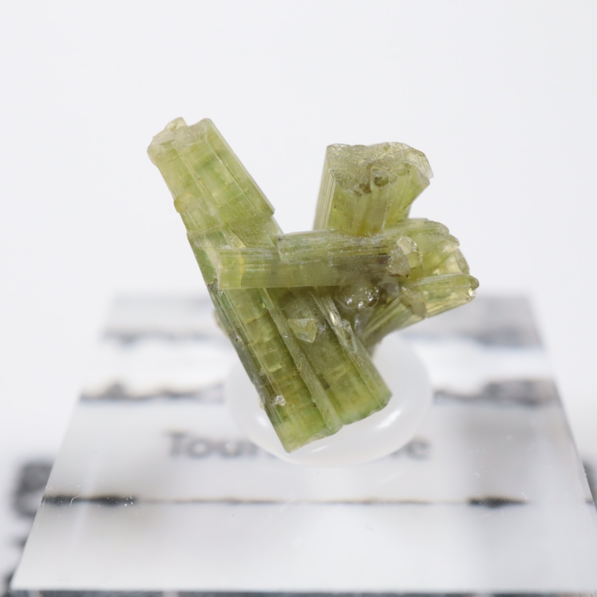 �֥饸�뻺 �ȥ�ޥ��