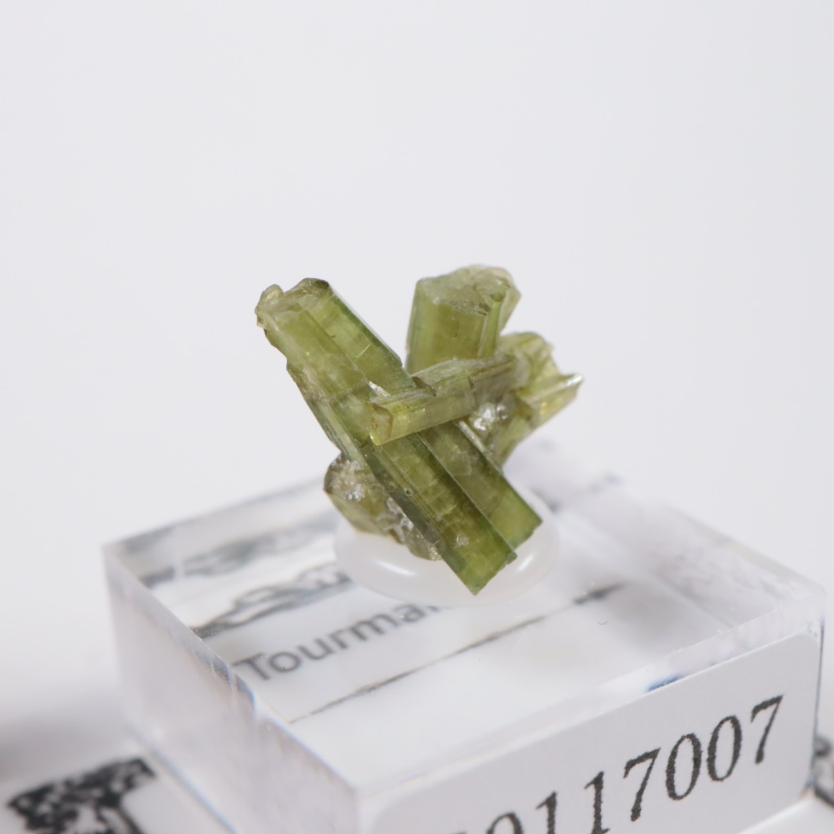 �֥饸�뻺 �ȥ�ޥ��