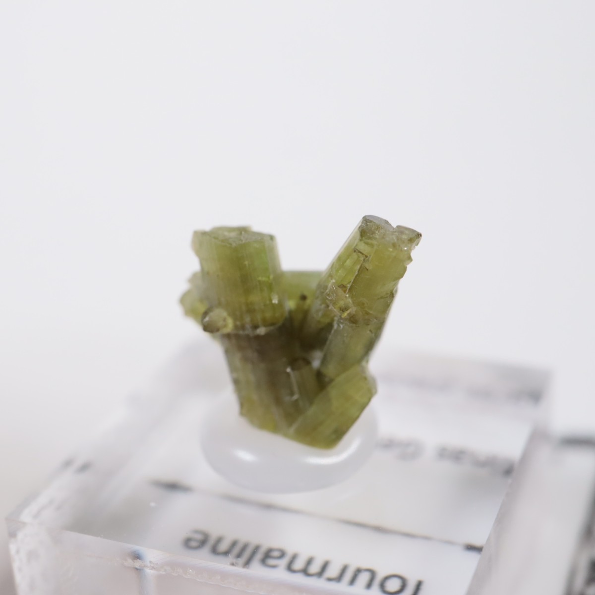 �֥饸�뻺 �ȥ�ޥ��