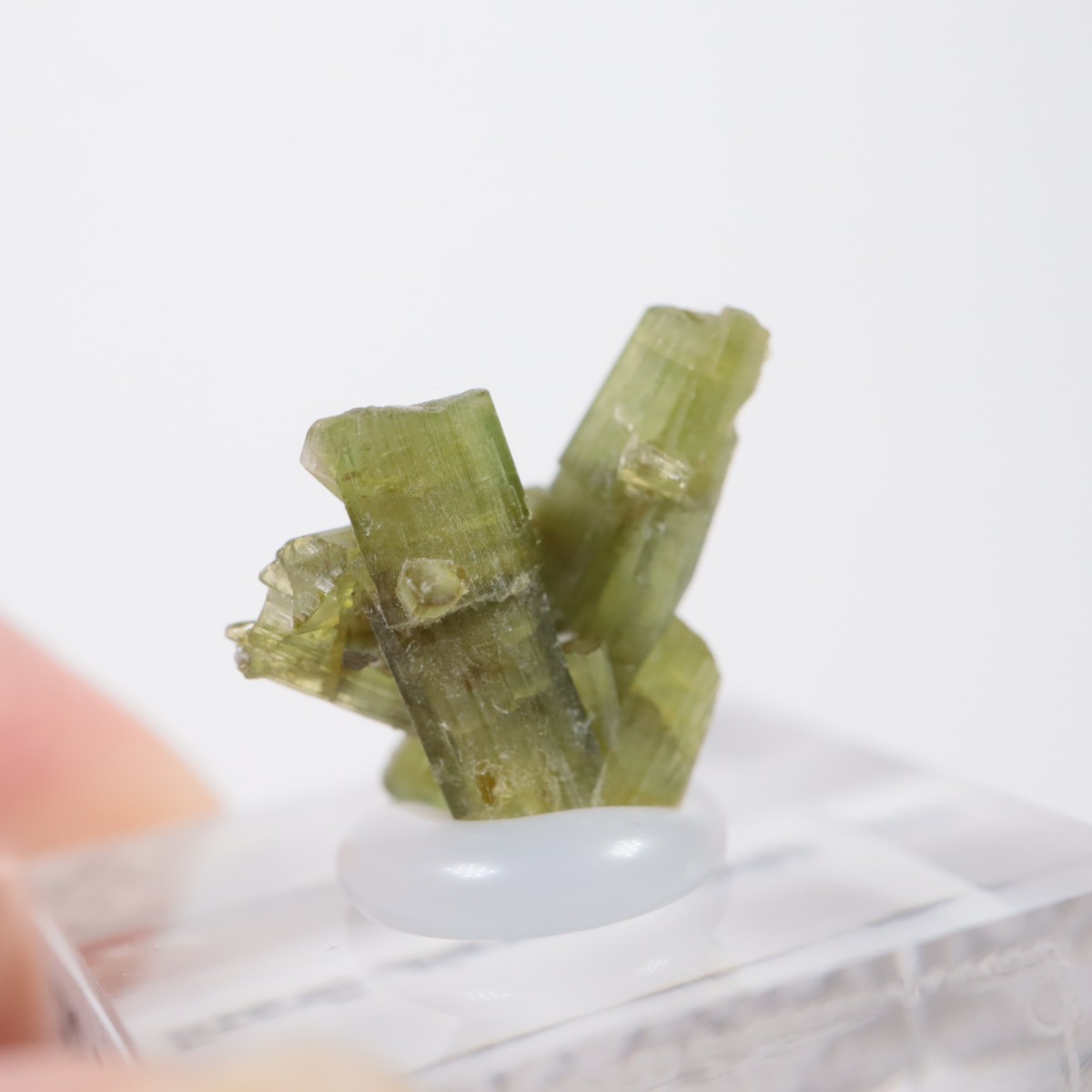 �֥饸�뻺 �ȥ�ޥ��