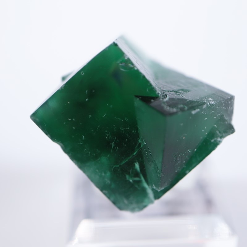 Wolfie Pocket産（ロジャリー鉱山）フローライト | 鉱物標本,ハ行